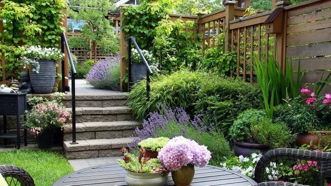 5 small garden ideas from an RHS Chelsea Flower Show designer