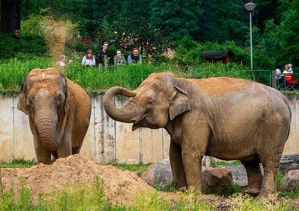 Zoo Ostrava stále patří mezi nejnavštěvovanější cíle českých turistů