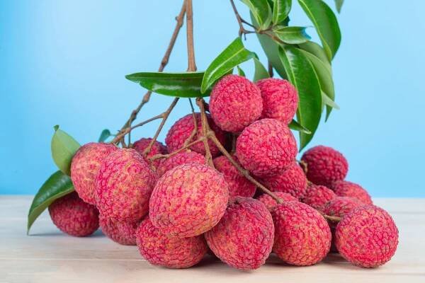 Lychee — California Tropical Fruit Tree Nursery