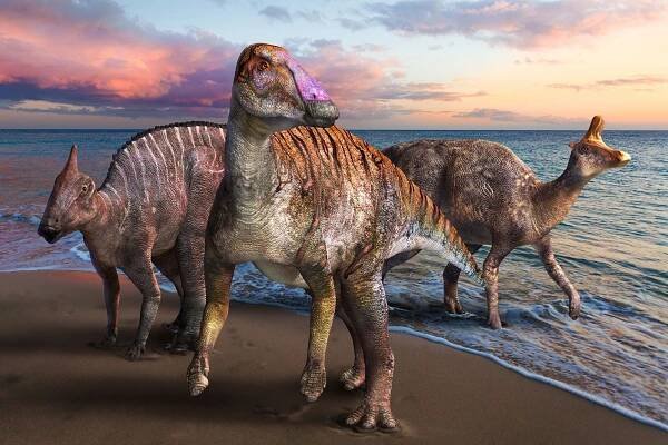 Yamatosaurus