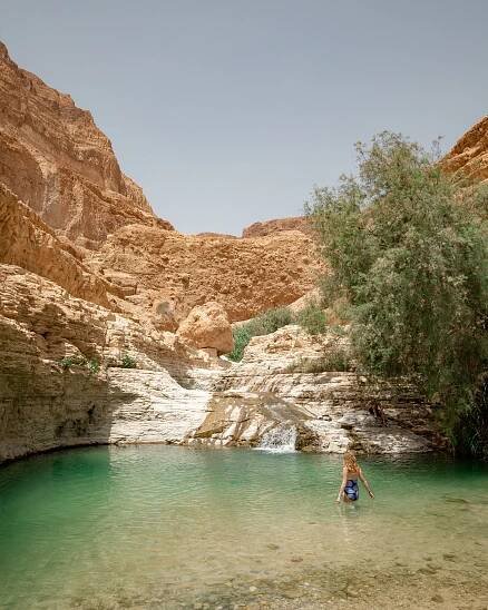 Ein Gedi desert oasis - a highlight of Israel — Walk My World