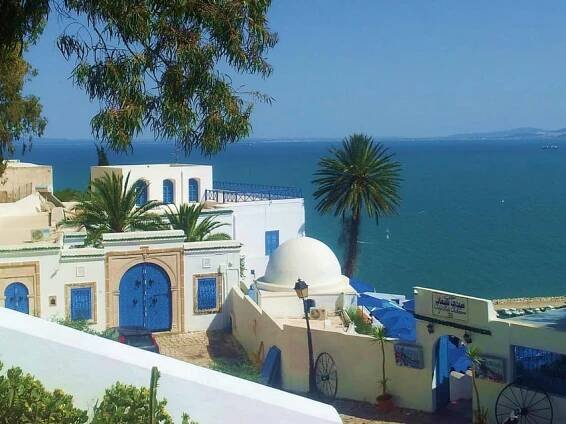 Tunis: Medina, Kartágo, Sidi Bousaid Soukromý výlet s obědem