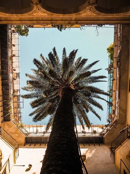 Darren Bonello Photography & Art - Travel & Documentary