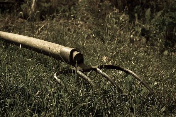 Gardening Tool Pitchfork Broadfork