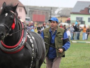 Koně tahali v Petrovicích kládu i železné sáně