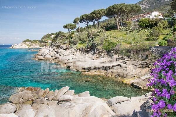 Elba dovolená a zájezdy | New Travel.cz