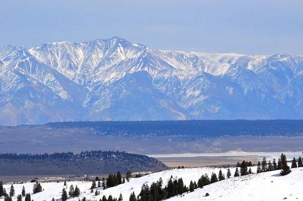 White Mountains (Kalifornie)
