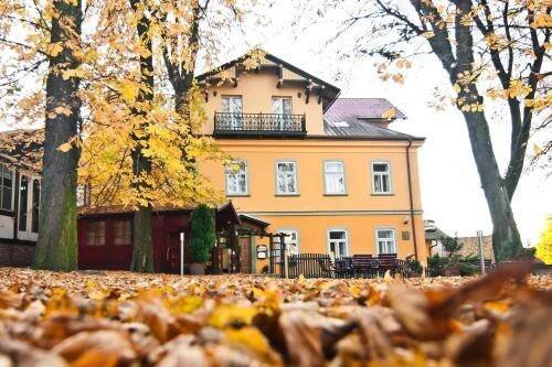 a house with a bunch of leaves in front of it at Hotel Praha Potštejn in Potštejn