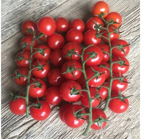 Rajčata cherry Nelinka "čerstvě utrženo" červená - Sad Smržice