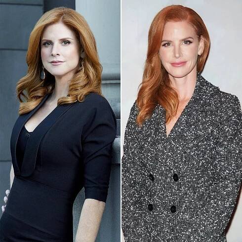 Suits Cast: Where Are They Now?