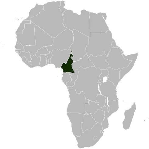 Camerun - Wikipedia