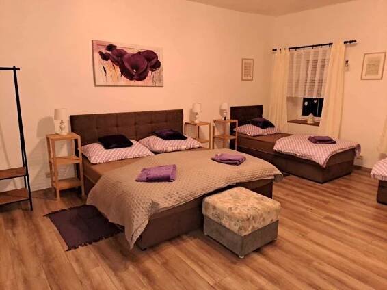 Kamenná chalupa - pronájem chalupy - 25 Bělá pod Bezdězem - Bezdědice - foto 25