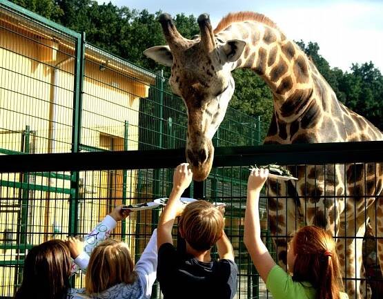 ZOO v Ústí nad Labem • Penzion KOMTESA
