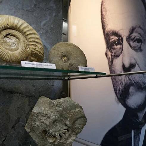 Muzeum Šipka - expozice geologie a archeologie 7
