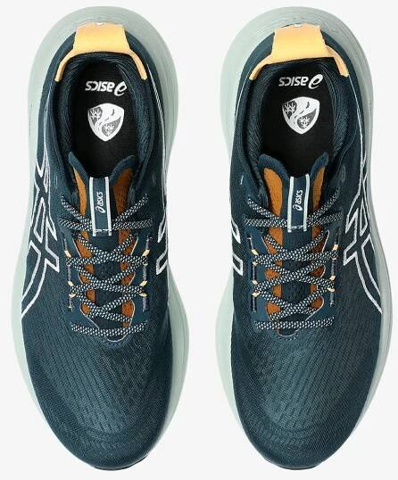 ASICS GEL-NIMBUS 27 TR