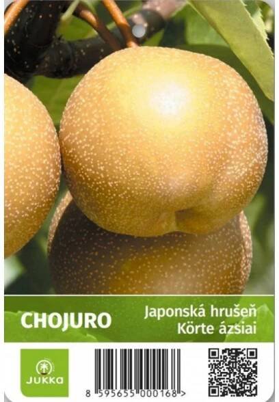Asijská hrušeň Chojuro