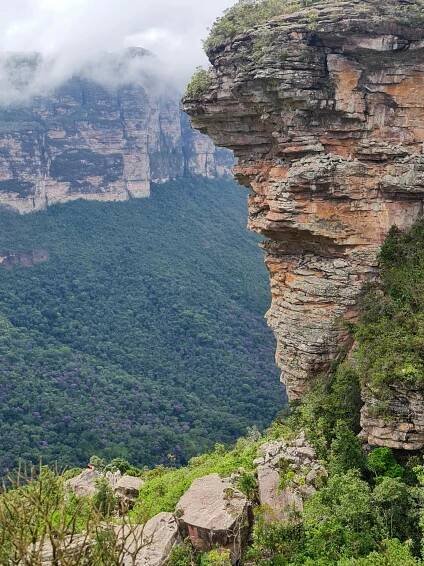 bezplatná Základová fotografie zdarma na téma bahia, biodiverzity, brazílie Základová fotografie