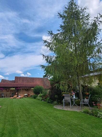 Zahrada ubytování Vila Harmónia + 37 fotografií