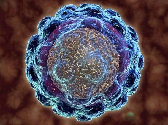 Viral Hepatitis 