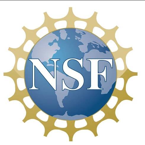 nsf_logo_color.png