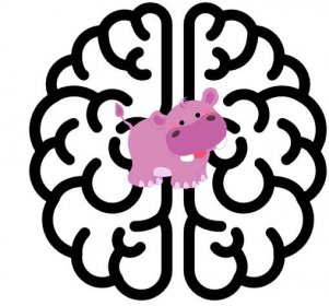 hippopotamus in brain
