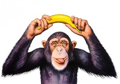 Mysleli jste si, že opice jí jenom banány?