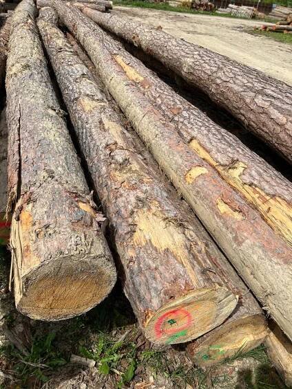 SF WOOD, s. r. o. | Spišská Nová Ves | Dřevostavba | Jasan | Jedle | Borovice | Zkracovací řetězová pila na balíky | Zkracovací