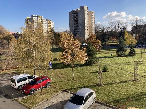 Pronájem Byt 2+kk, Provaznická, Ostrava - Hrabůvka