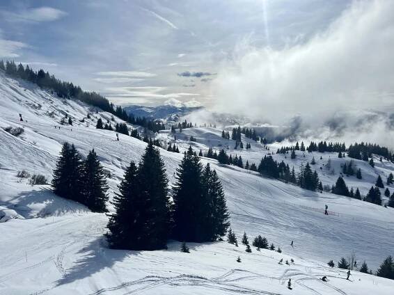 Ski Resort review: Les Gets, France
