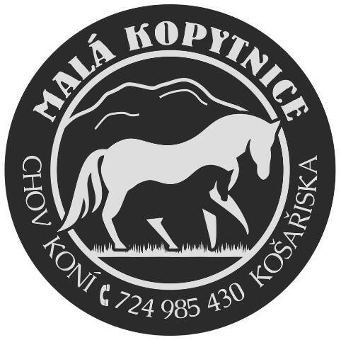 Malá Kopytnice, Zážitky u koní, koně Beskydy, Koně v Beskydech, kam ke koním Beskydy, koně Třinecko