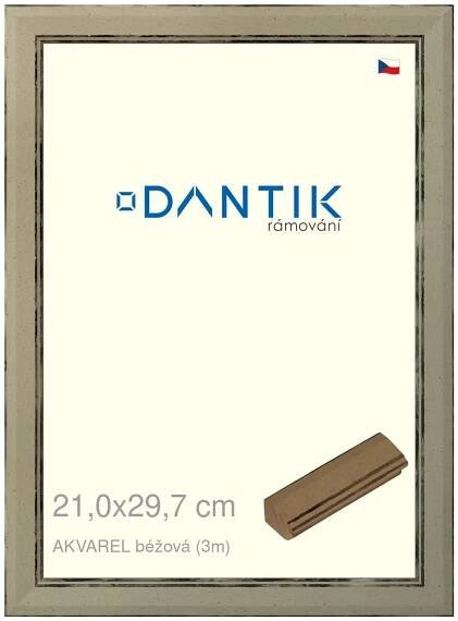 DANTIK rámeček na obraz 21x29,7