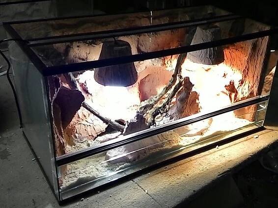 Volne terarium - Praha - západ, Prodám | ChovZvířat.cz