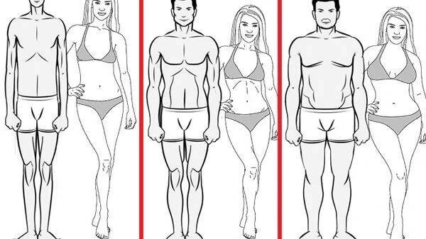 Ektomorf, mezomorf nebo endomorf?