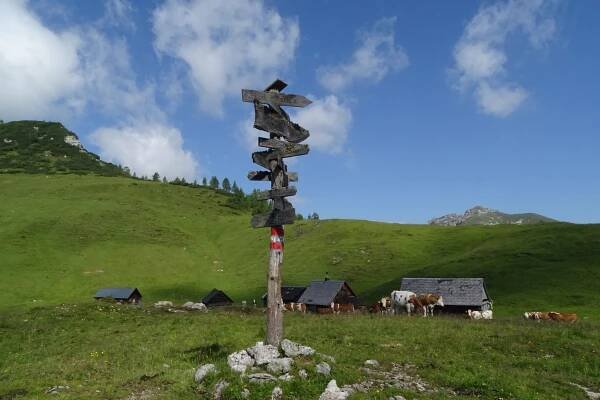 Wohin geht's?