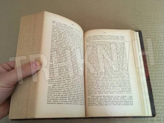 Kniha Historie literatury ruské XIX. století = - Díl I., - Všeobecný přehled literárního hnutí XIX. století a historie kritiky