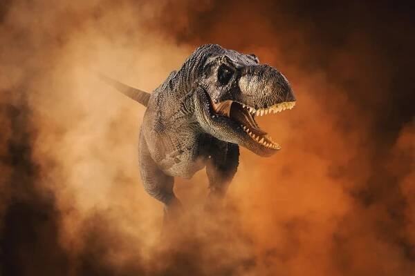 Tyrannosaurus T-rex ,dinosaur on smoke background