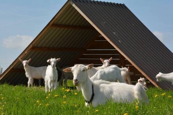Vila Farma Klínec Exteriér fotografie