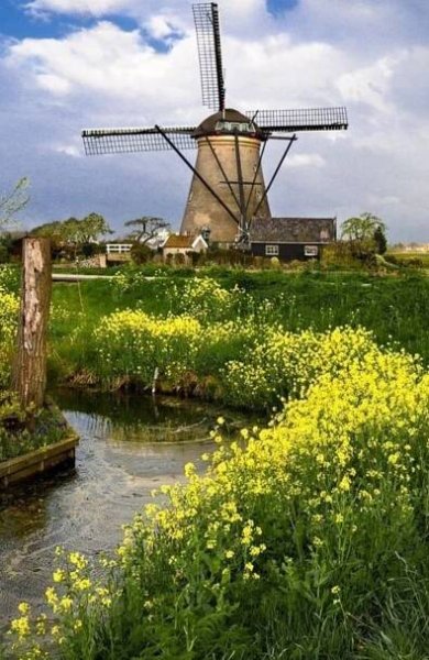 (5) Startpagina / Twitter | Windmill, Places to see, Dutch windmills