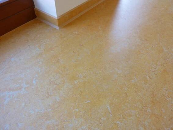 Reference/Marmoleum - Linoleum - 