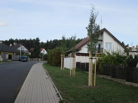 Výsadba nových stromů - Oficiální stránky města Vroutek