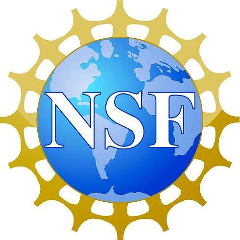 NSF