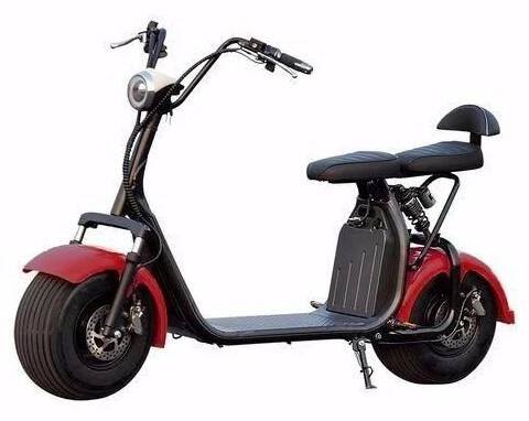 EcoWheel GR7 1000W