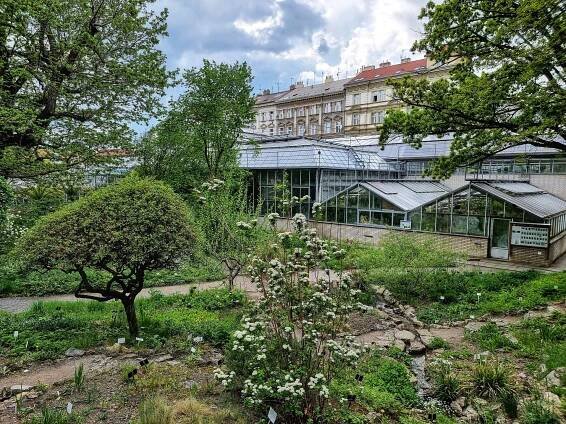 Objevte nejstarší botanickou zahradu v Česku! Najdete ji v Praze na Novém Městě