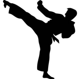 Samolepka - Karate kop