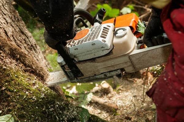 Tree Removal Services — Hastings, MN — Rivertown Tree Service