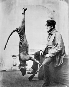 Hunter poses with dead thylacine, 1869
