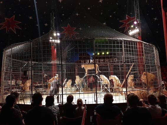 Pestrý program Cirkusu Humberto uchvátil děti z azylového Domova sv. Agáty