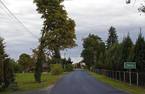 Olędy, Gmina Zbuczyn