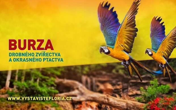Burza drobného zvířectva a okrasného ptactva - ZLIN.CZ