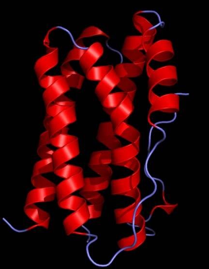 File:IL6 Crystal Structure.png - Wikipedia